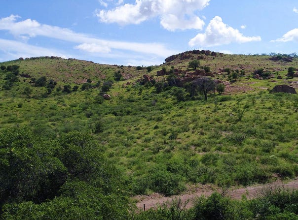 Lot 41 N Hidden Oaks Trail 39 acres --, Douglas, AZ 85607