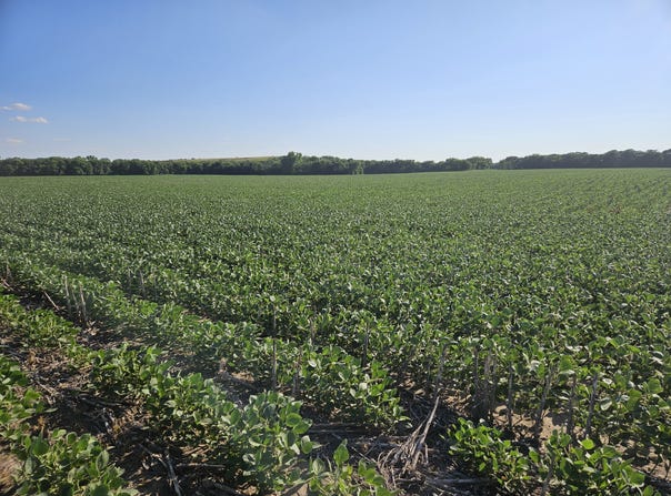 0001 16th Road, Ellsworth, KS 67439