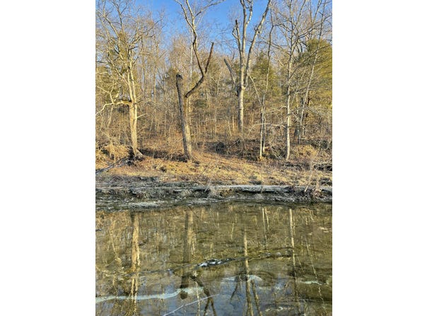 Tract 2 County Road 14-534, Ava, MO 65608