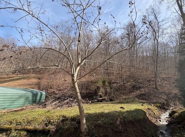 0 Benton Fork Rd, Canada, KY 41519