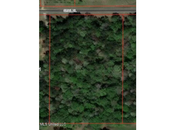 2 Quail Hill Road, Brandon, MS 39042