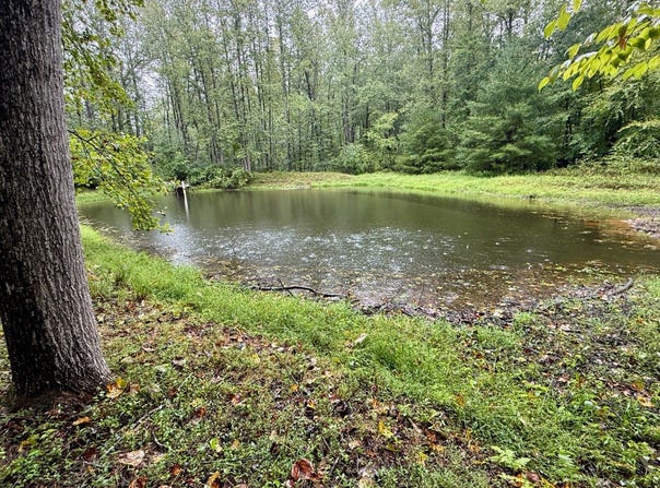 6334 W Hoover Rd, Reva, VA 22735