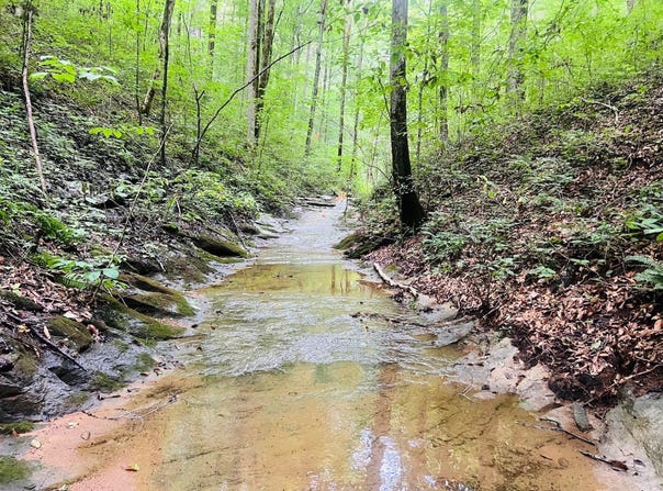 81 Shearer Cemetery Ln, Columbia, KY 42728