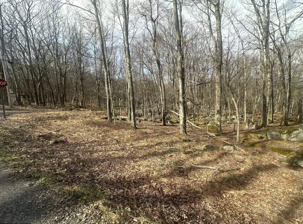 Aster Circle lot: 216, Terra Alta, WV 26764