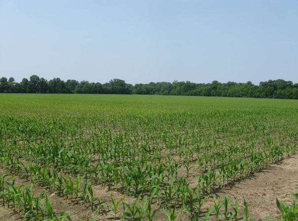 0000 South Co Road 125E, Clay City, IN 47841