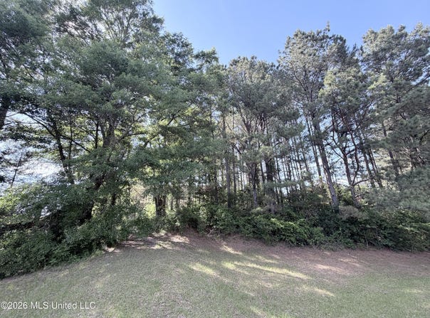 385 Risher Road, Carthage, MS 39051