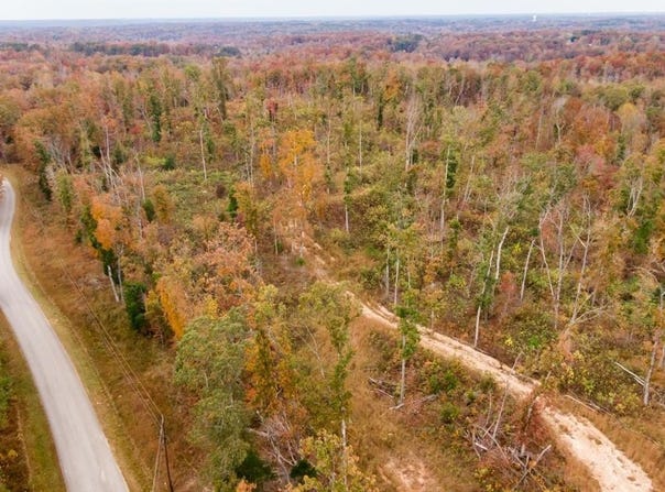MOUSE TAIL Road, Parsons, TN 38363