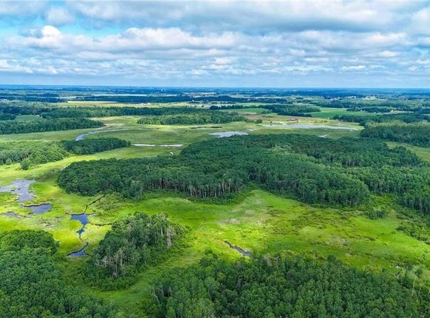 Tbd Timberlane Road, Staples, MN 56479
