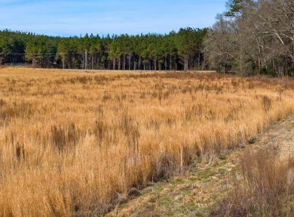 Cr 3122, Vaiden, MS 39176