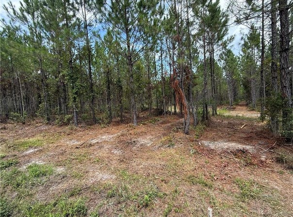 0 (lot 5) Corbitt Road, Manor, GA 31550