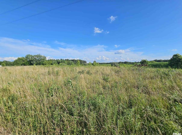 0000 E Bakersville Road, Belle Rive, IL 62810