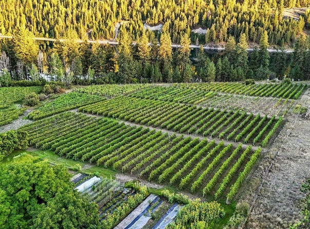 3752 VINEYARD WAY, KETTLE FALLS, WA 99141