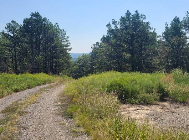 232 Stone Creek II Hunt and Linger, Panola, OK 74578