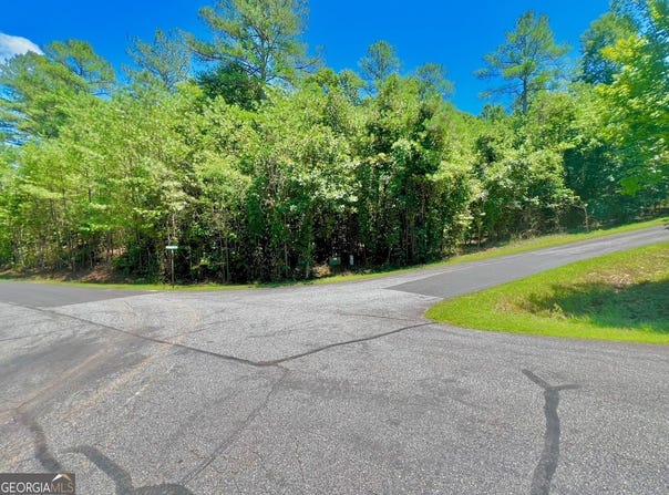 64 Meadow Brooke, Young Harris, GA 30582
