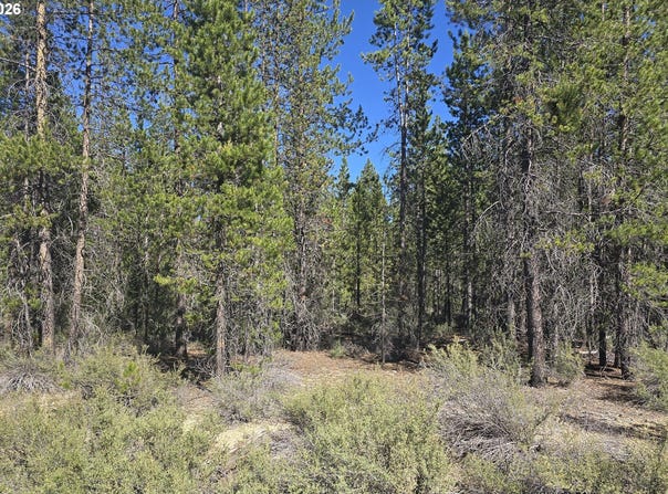 5 mowich St, CrescentLake, OR 97733