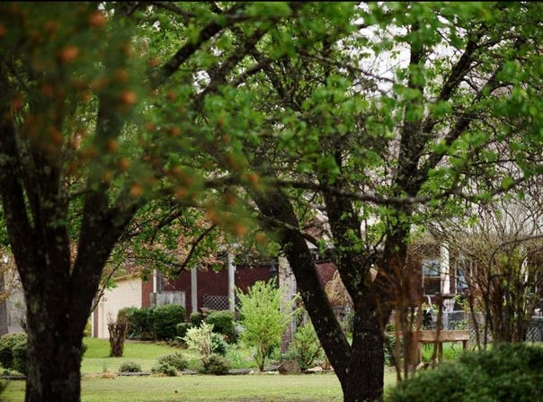 1382 HWY 334, Oxford, MS 38655