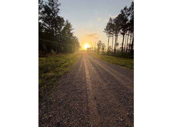 21154, livingston, LA 70754