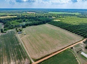 895 Pearson Road, Sylvester, GA 31791