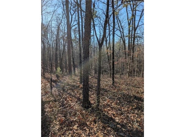 1422 Hanna Drive, Ranger, GA 30734