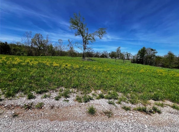1009 Legacy Lane, Perryville, MO 63775