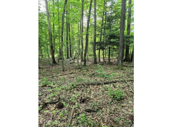 Lot 3 BISCOFF Road, Albion, PA 16401