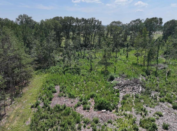 TBD KADOHA Road, Murfreesboro, AR 71958