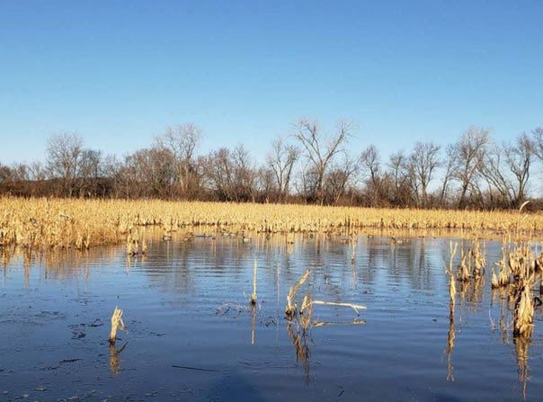 1 County Rd 45, Fillmore, MO 64449