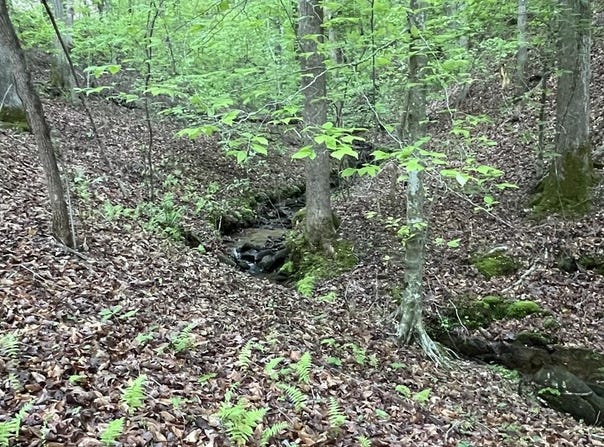 Lot 127 Water Oak Drive, Ellijay, GA 30540