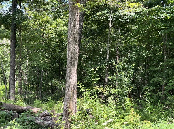 Lot 45 Pr Ridge Haven, Mammoth Spring, MO 72554