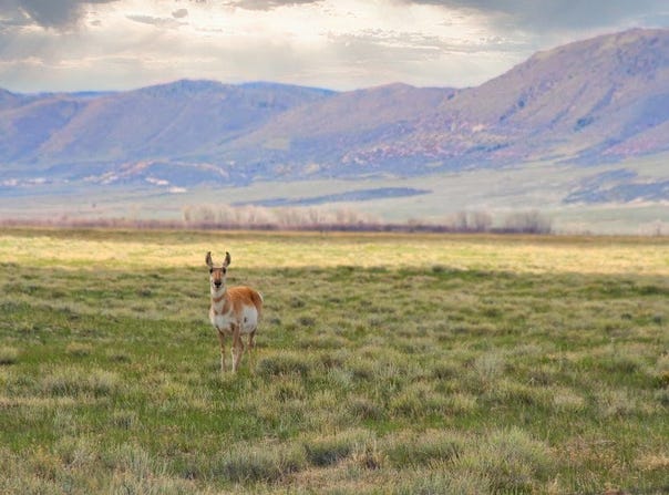 Lot 198 Wild Horse Ranch, Laramie, WY 82070
