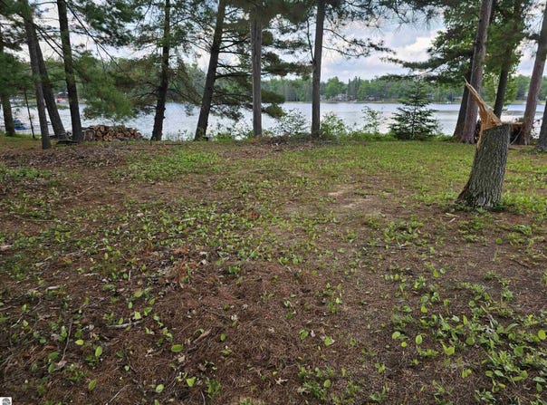 lot 12 Paradise Drive, South Branch, MI 48761