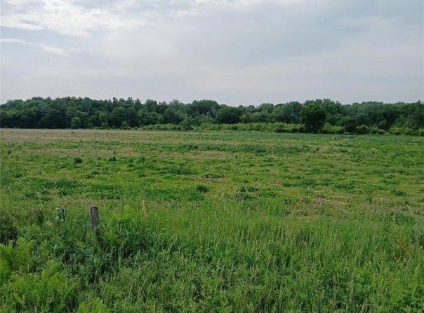 Lot 1 Witte Road, Augusta, WI 54722