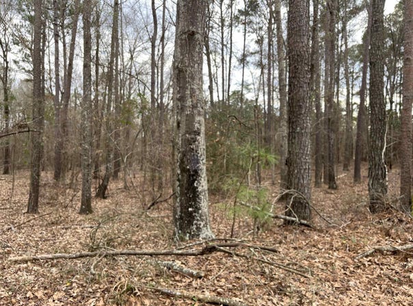 Tract 2 Venus Rd, White Oak, TX 75693