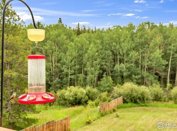 212 Glen Mawr Dr, Black Hawk, CO 80422