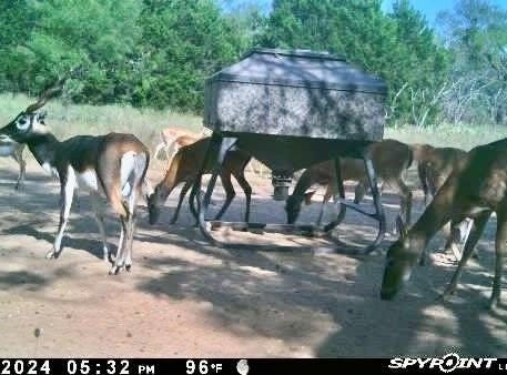 267 CR 112, Goldthwaite, TX 76844