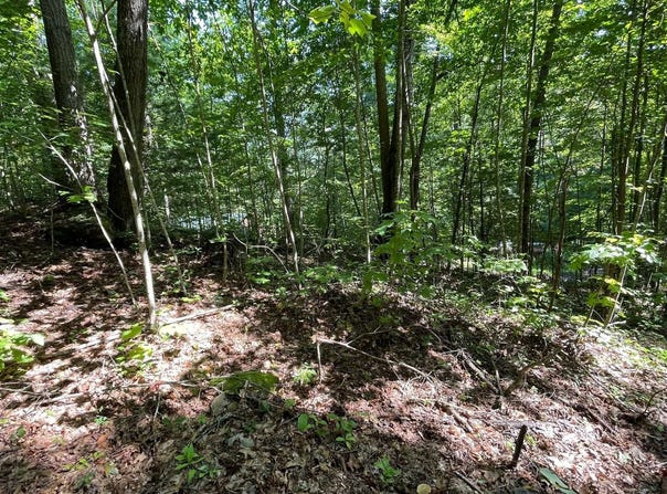 Eagle Heights lot: 8D, Hiawassee, GA 30546