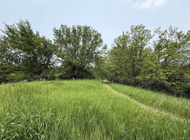 12210 N 59th Avenue W, Mingo, IA 50168