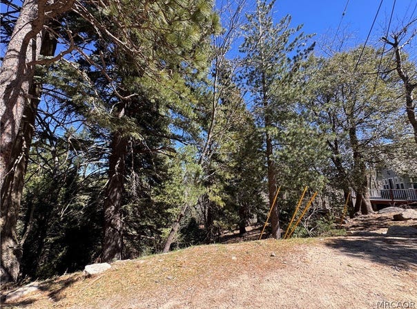 Mid Ln, Twin Peaks, CA 92391