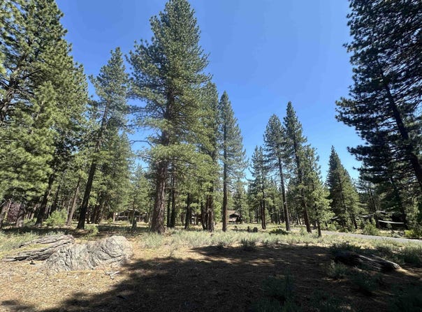 11651 Bottcher Loop, Truckee, CA 96161