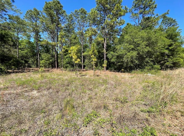 Lot 25 SW 21ST PLACE, OCALA, FL 34481