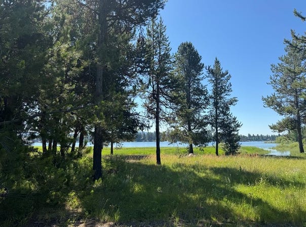 12980 Ponderosa Drive, Donnelly, ID 83615