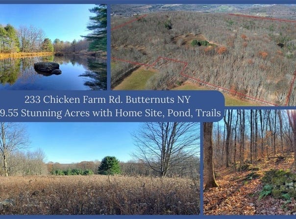 233 Chicken Farm Road, Butternuts, NY 13776