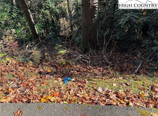 Hews Circle, Blowing Rock, NC 28605