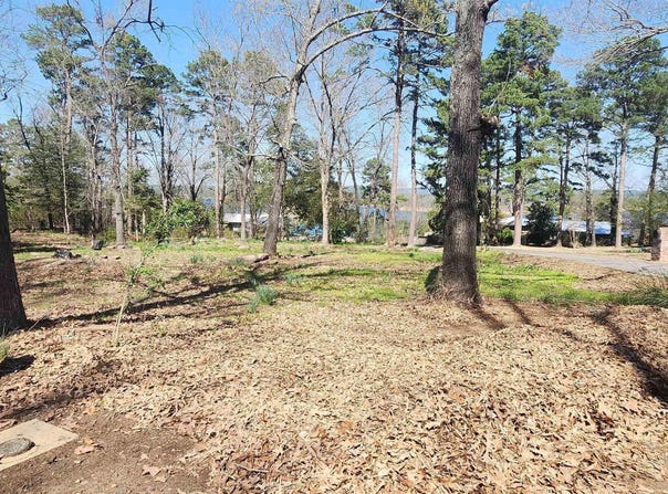 204 Glenview Drive, Heber Springs, AR 72543