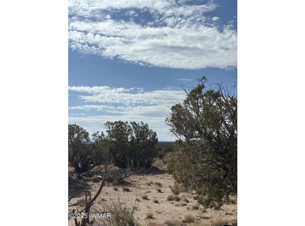 8580 D Lawson Lane, Snowflake, AZ 85937