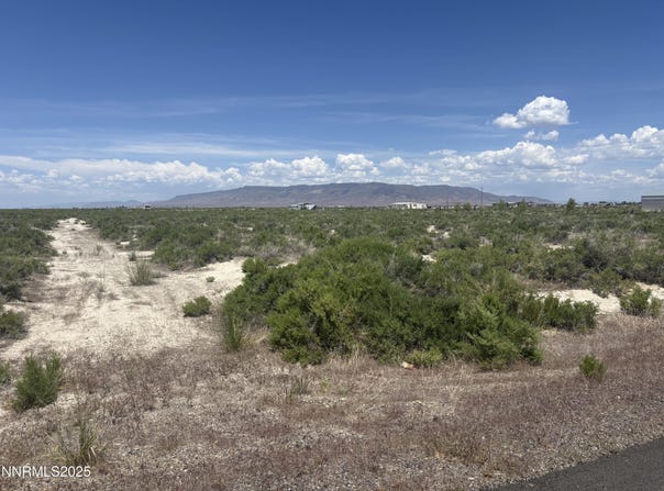 1565 William Harrison Avenue, Battle Mountain, NV 89820