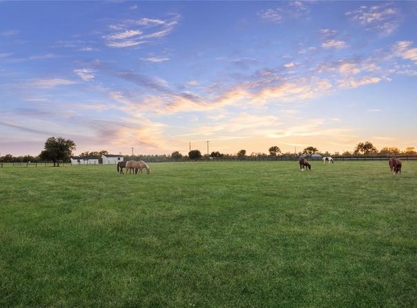 40570 Wild life Run, Hempstead, TX 77445