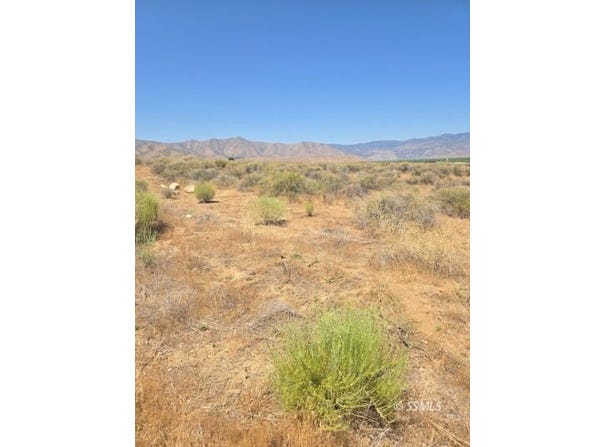 426-390-08 Flycatcher, Weldon, CA 93283