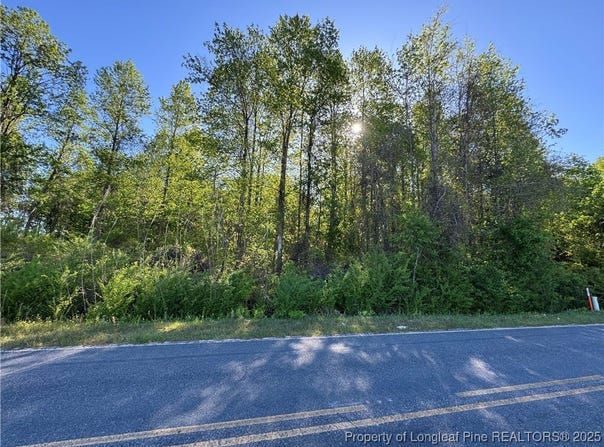 McBryde Mill Road, Red Springs, NC 28377