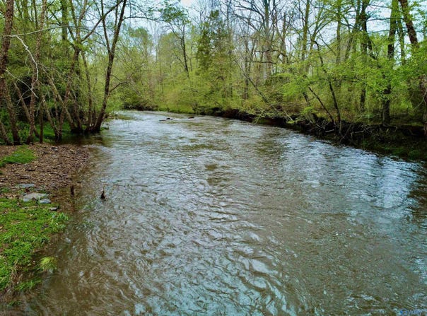 239 Unit A Mint Springs Road, New Market, AL 35761